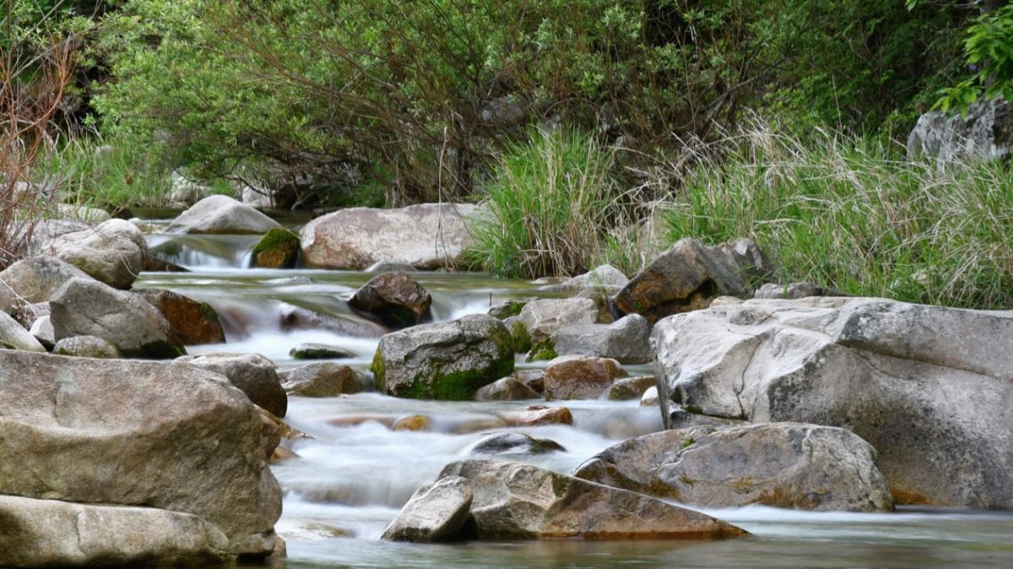 Serene stream and rocks in lush forest setting at daytime, perfect for nature themes.