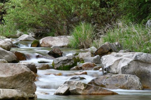 Serene stream and rocks in lush forest setting at daytime, perfect for nature themes.